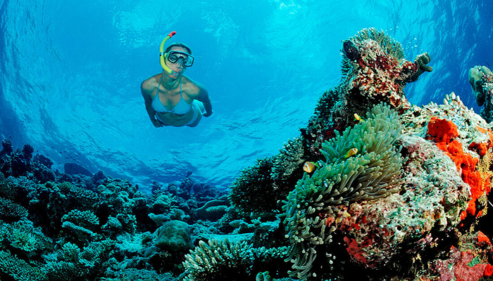 Abu Dabbab: Snorkeling Tour